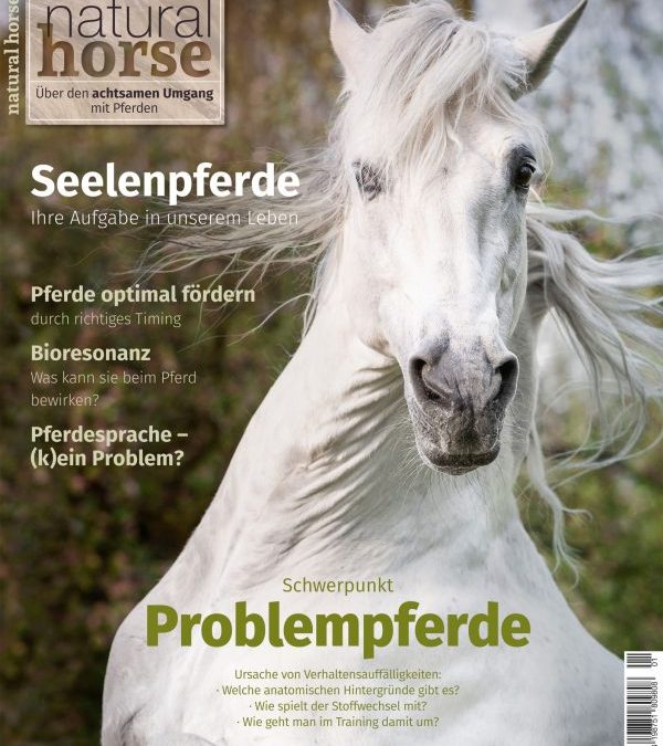 Natural Horse Bericht