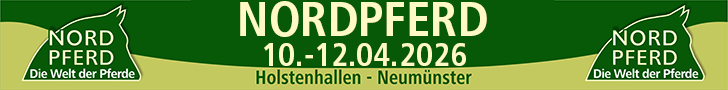 Nordpferd Anna Renata Schultz